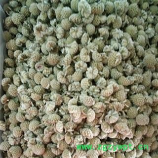 绿萝花 一级选货 产地 西藏自治区图2