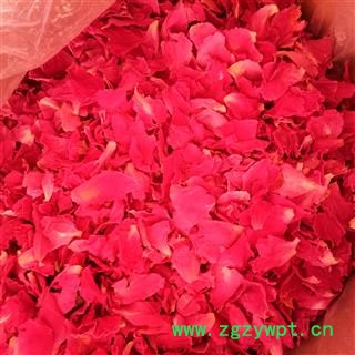 玫瑰花 玫瑰花瓣 美容花 产地 山东省图2
