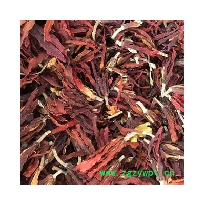 吉康药业批发  白玉兰 白玉花 玉兰花  红玉兰 木兰 玉兰花 望春 应春花 玉堂春