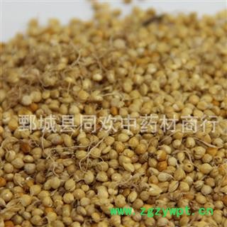 【炒谷芽】@【同欢药材】中药材批发供应 规格齐全 量大从优 产地 山东省图2