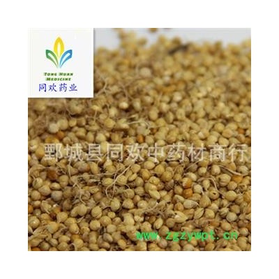 【炒谷芽】@【同欢药材】中药材批发供应 规格齐全 量大从优 产地 山东省