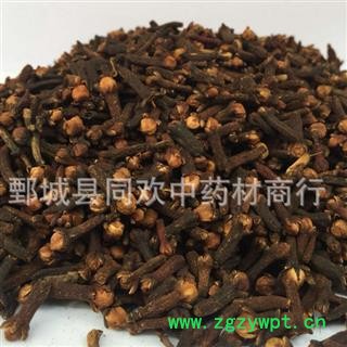 【丁香】@【同欢药材】中药材批发供应  产地 海外  规格齐全 量大从优图2