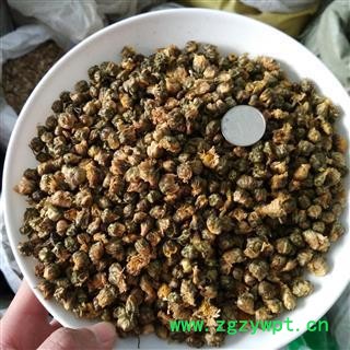 胎菊 选 产地 浙江省 国药堂 专注品质图2