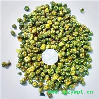 胎菊 胎菊 选装 产地 江苏省图2