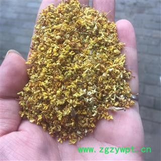 桂花 精选 桂花 产地 广西壮族自治区图3