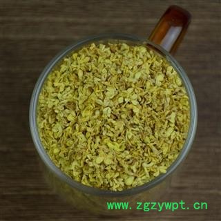 桂花 精选 桂花 产地 广西壮族自治区图2