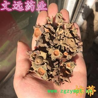 柿蒂 柿蒂 选,柿楴 柿子盖 产地 河南省南阳市宛城区图3