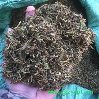 金银花 山银花 山二花  野生金银花  产地 河南省图4