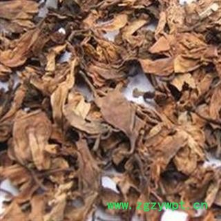 鸡蛋花 缅栀子 蛋黄花 擂捶花 鸭脚木 大季花 番缅花 蕃花 善花仔图2