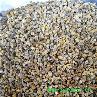 野菊花 选 产地 安徽省  颗粒  含量符合药典图2