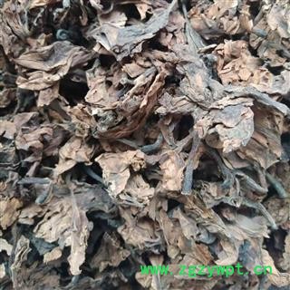 鸡蛋花 统货 产地 河北省图2