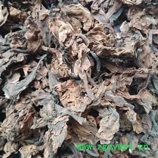 鸡蛋花 统货 产地 河北省图3