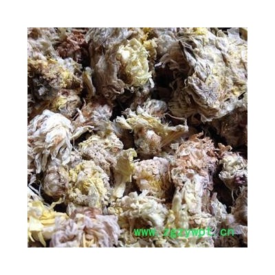 菊花  亳菊花 统 产地 安徽省亳州市谯城区