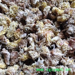 菊花  亳菊花 统 产地 安徽省亳州市谯城区图3