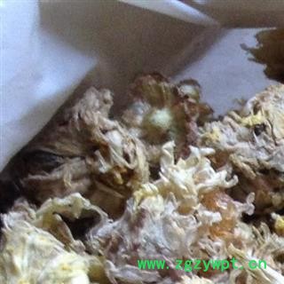 菊花  亳菊花 统 产地 安徽省亳州市谯城区图2