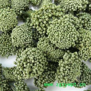 三七花 三年生三七花无柄大选货 产地 云南省