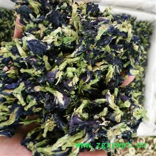 蝴蝶花 蓝蝴蝶 日本鸢尾 开喉箭 兰花草 扁竹 剑刀草 选货 产地 甘肃省图2