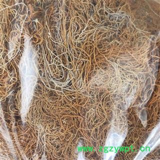 红雪茶 金丝刷 金丝茶 金刷把 红血茶 石蕊 茶用级别 产地 西藏自治区 买好药找娟子图4