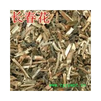 吉康药业长春花 常春花 雁来红 日日新 四时春 三万花