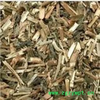 吉康药业长春花 常春花 雁来红 日日新 四时春 三万花图2