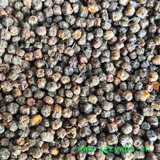 菊花 胎菊 胎菊王选货 产地 浙江省 产地 浙江省图2