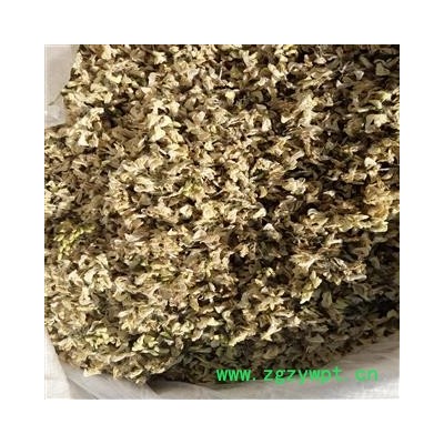 洋槐花 野生洋槐花干货 产地 河南省平顶山市汝州市