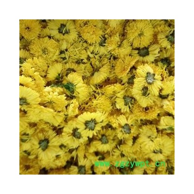 金丝皇菊 黄菊花 花茶级别选货 产地 江西省