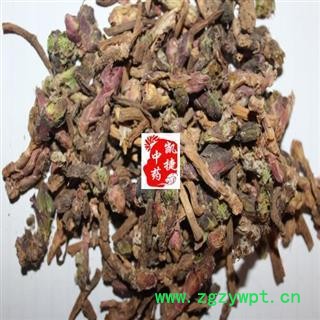 款冬花 选 统 产地 甘肃省天水市秦安县图3