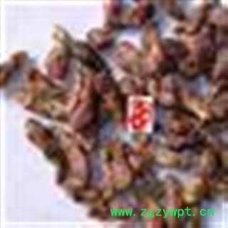 款冬花 选 统 产地 甘肃省天水市秦安县图2