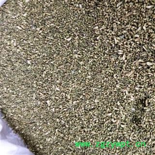 槐米 色青选货 产地 山东省图2