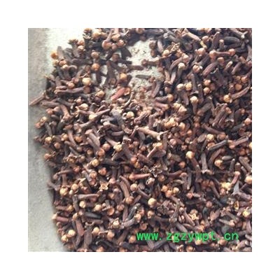 丁香 公丁香个 产地 海外