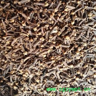 娟子中药 丁香 统 产地 广西壮族自治区图3