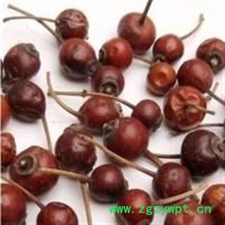 吉康药业中药材营实子 蔷薇子、野蔷薇子、图2