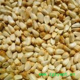 草红花籽、草红花子 种子统 产地 新疆维吾尔自治区塔城图3