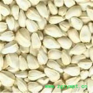 草红花籽、草红花子 种子统 产地 新疆维吾尔自治区塔城图2