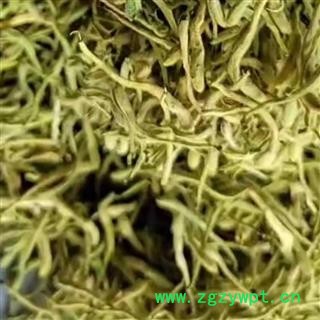 金银花 金银花 新货干度好含量高  山东地产直销图2