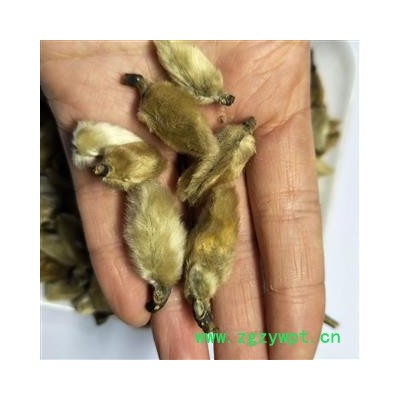 辛夷花 辛夷大桃统货 产地 河南省郑州市市辖区