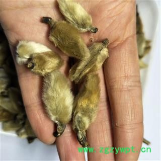 辛夷花 辛夷大桃统货 产地 河南省郑州市市辖区图4