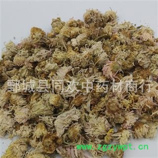 【白菊花】@【同欢药材】中药材批发供应  规格齐全 量大从优  产地 山东省图2