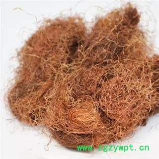 玉米须 无硫玉米须 玉米须茶图3