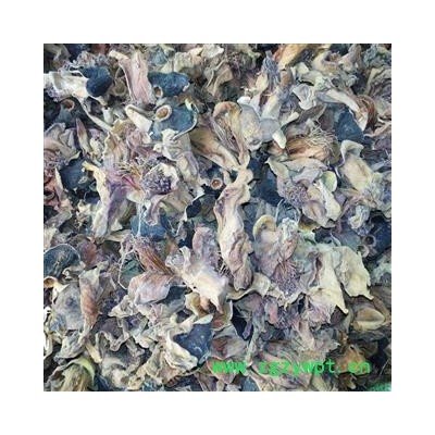 木棉花 攀枝花 统货 产地 广西壮族自治区