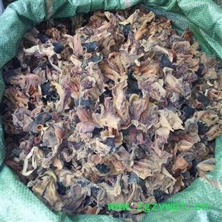 木棉花 攀枝花 统货 产地 广西壮族自治区图2