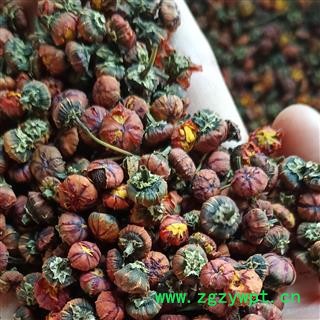 雪菊 昆仑雪菊 可泡茶 产地 新疆维吾尔自治区图2