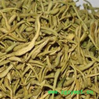 金银花 选 产地 河南省新乡市封丘县图2