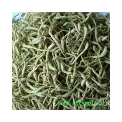 金银花 选 产地 河南省新乡市封丘县