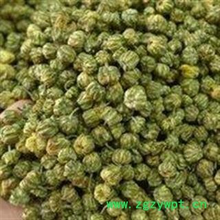 菊花  胎菊 桐乡胎菊米 产地 浙江省 娟子中药图3