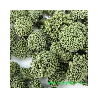 三七花 两年生三七花色青一般选货 产地 云南省