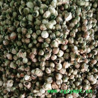 吉康药业新货 山茶花 花蕾天山雪梅  新货低价颜色好 实体店供应图2