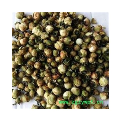 吉康药业新货 山茶花 花蕾天山雪梅  新货低价颜色好 实体店供应