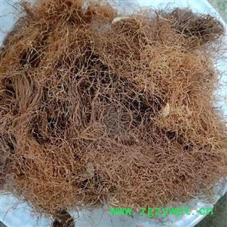 玉米须 玉米须统货 产地 山东省图4